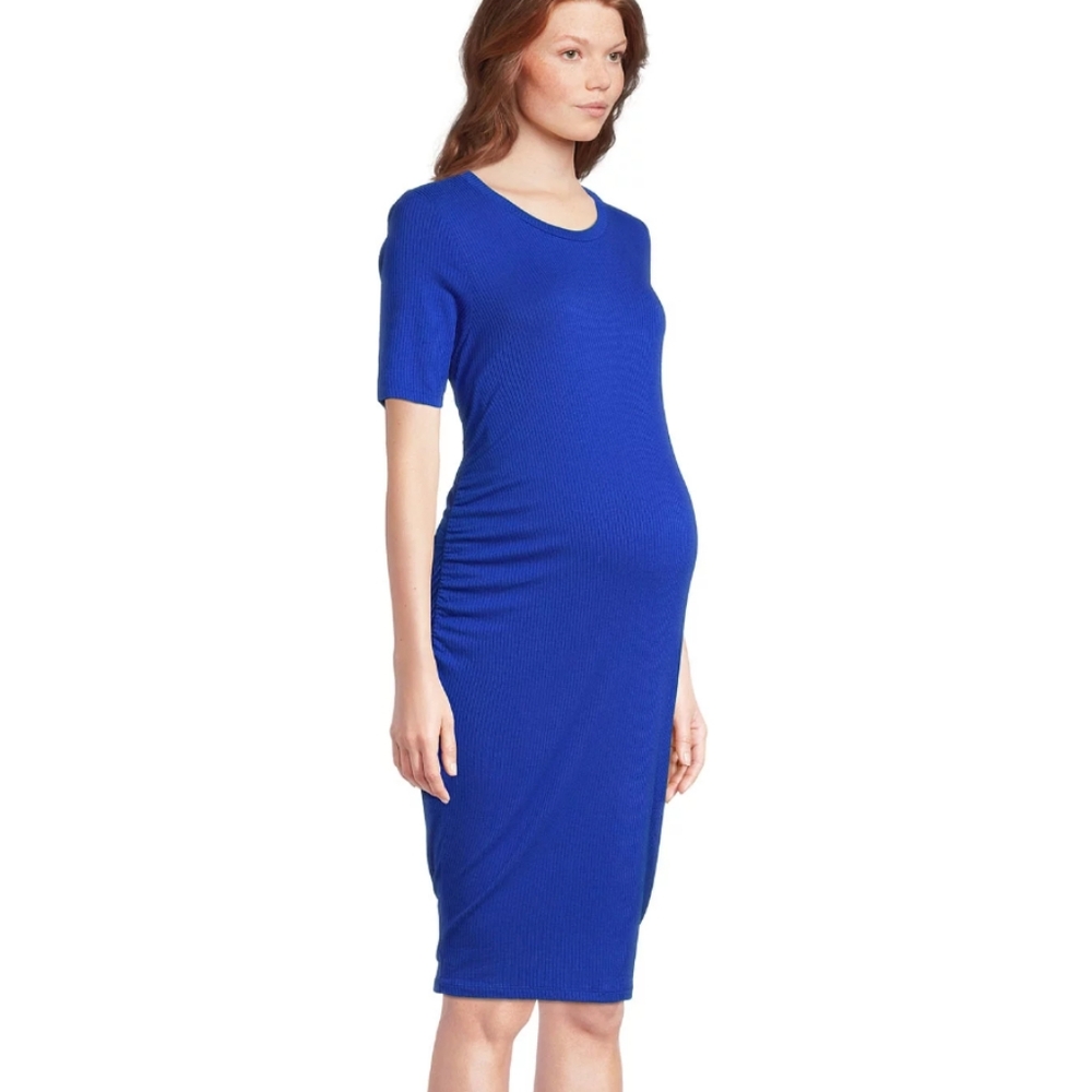 Time and Tru Maternity Dress